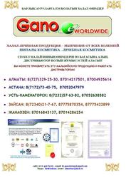 Головной офис GANO eWorldwide в Жанаозене